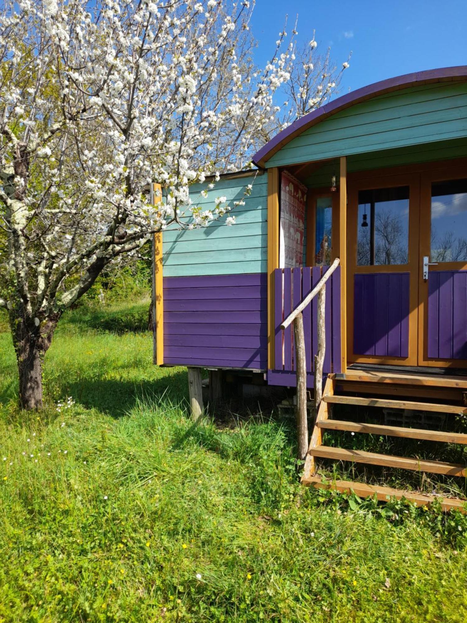 Chambre d'hôtes Dougnac Art Fantastique Fleurance Exterior foto
